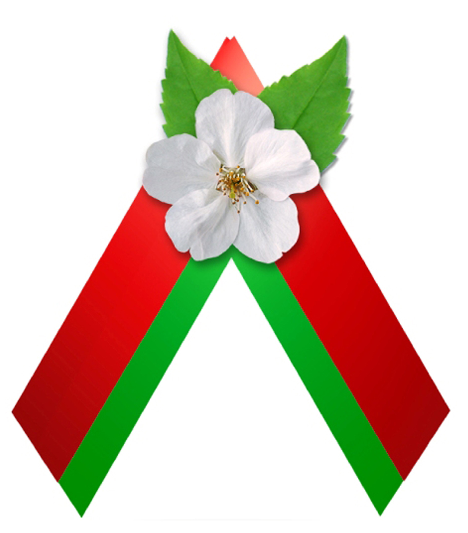 Цветок символ Победы